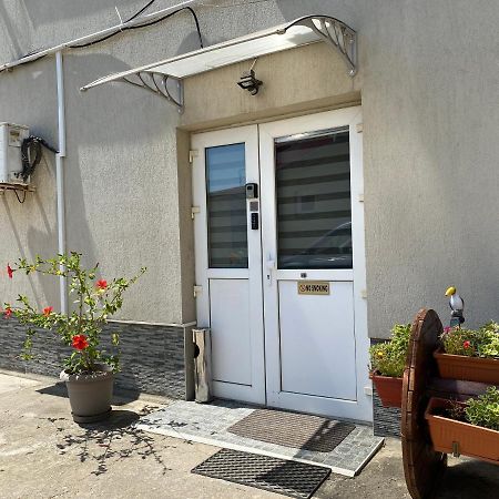 Evergreen Apartment Temesvár Kültér fotó